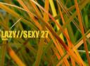 Lazy//Sexy 27 â€œThe Backyardâ€